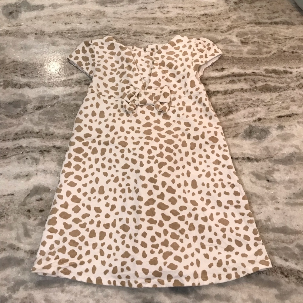 Animal print dress, velvet, 18-24 mos